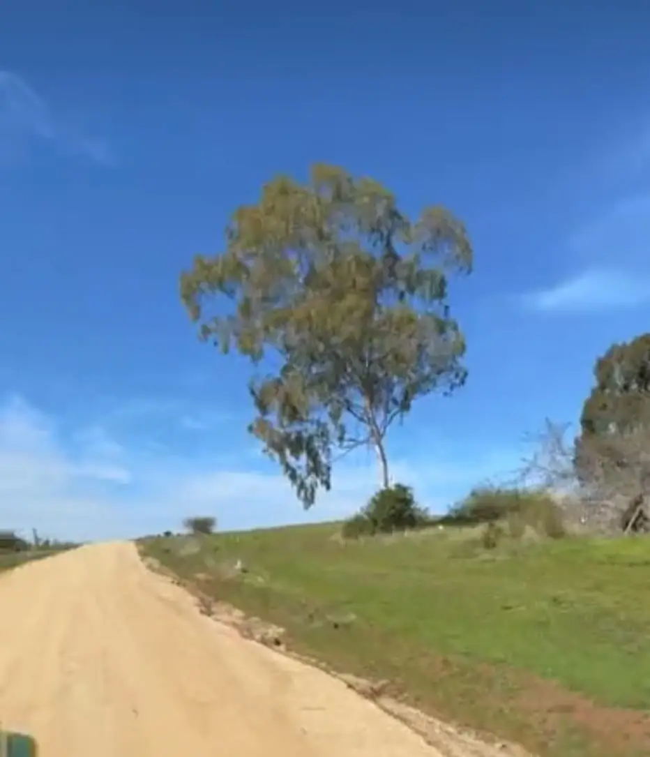 🌿 Parcelación Hacienda Don Félix - Imagen 3