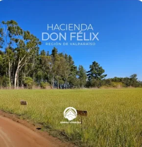 🌿 Parcelación Hacienda Don Félix
