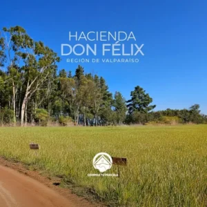 🌿 Parcelación Hacienda Don Félix