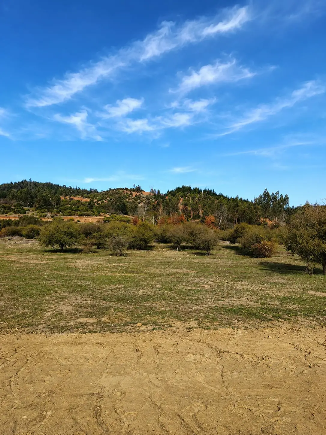 🌿 Parcelación Lomas de Constitución - Imagen 10
