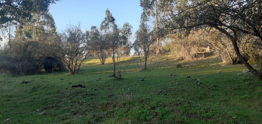🌿 Parcelación Hacienda Vichuquén - Imagen 8
