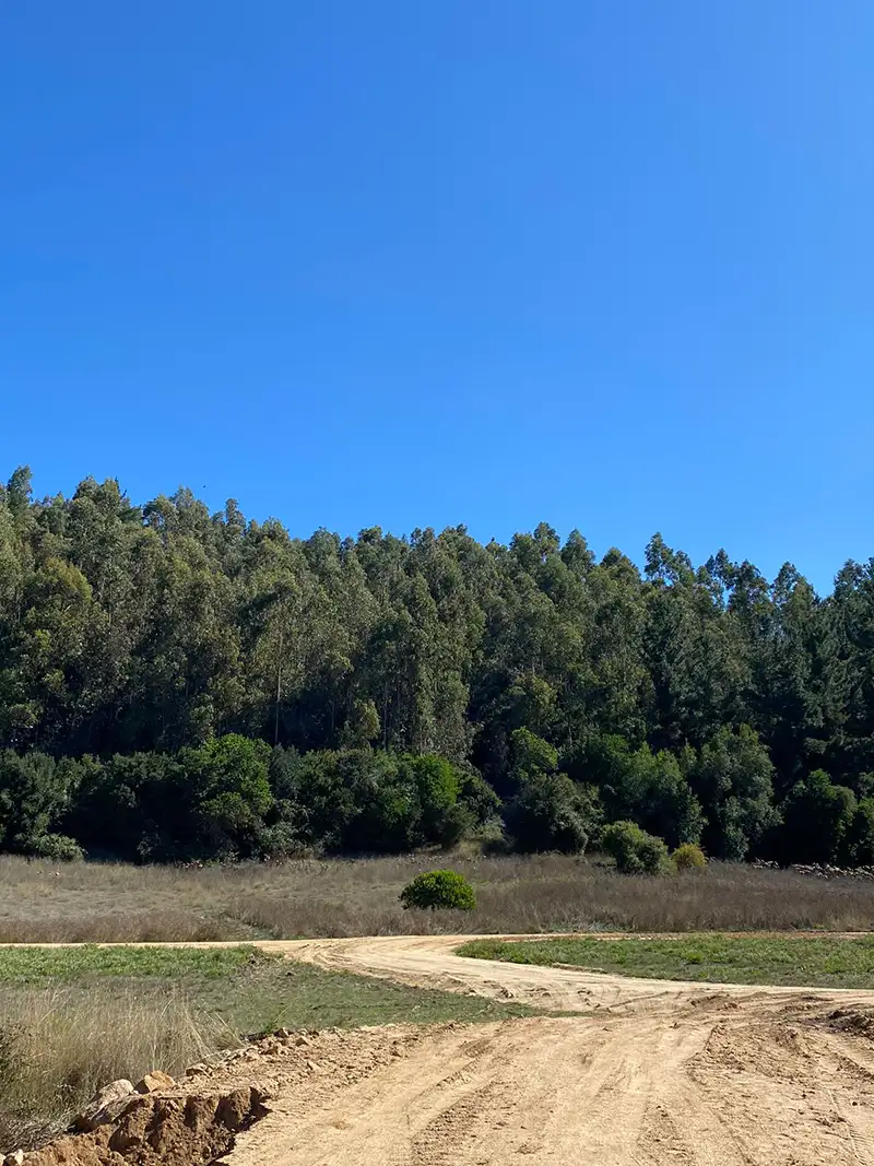 🌿 Parcelación Lomas de Puertecillo - Imagen 5