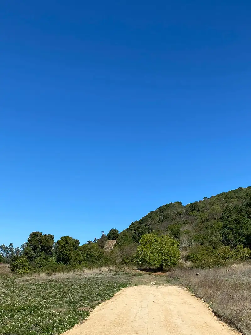 🌿 Parcelación Lomas de Puertecillo - Imagen 7