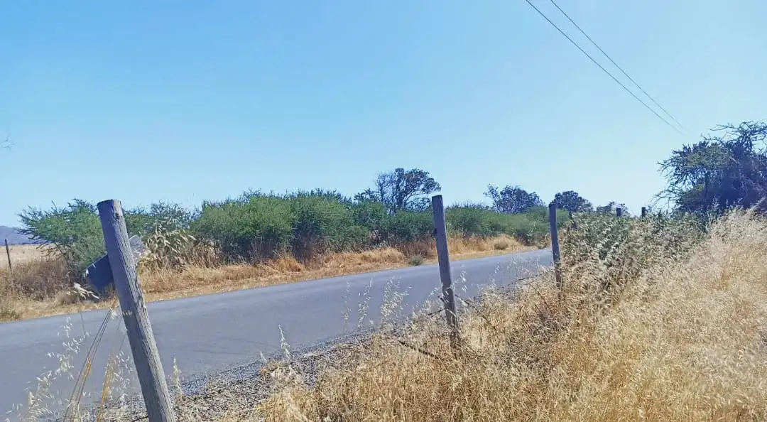 🌿 Parcelación Olivos de Marchigue - Imagen 3