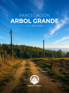 Parcelación Árbol Grande🌳