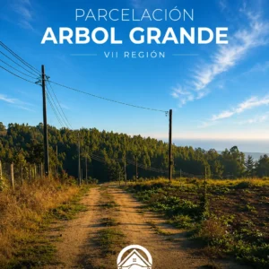 Parcelación Árbol Grande🌳